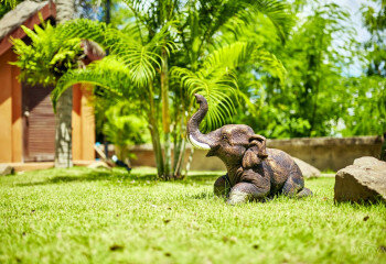 Дом в Джомтьене, Паттайя, Таиланд | THE221637