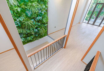 Дом в Бангкоке, Таиланд | THE456354