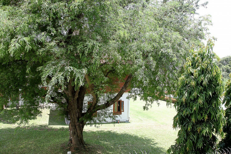 Коммерческая недвижимость в Паттайе, Таиланд | THE255690