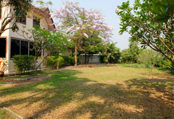 Дом в Сарафи, Таиланд | THE356859