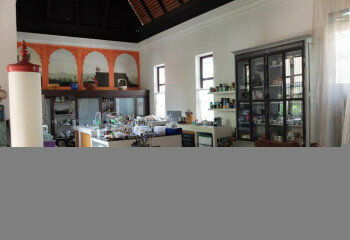 Дом в Сарафи, Таиланд | THE556937