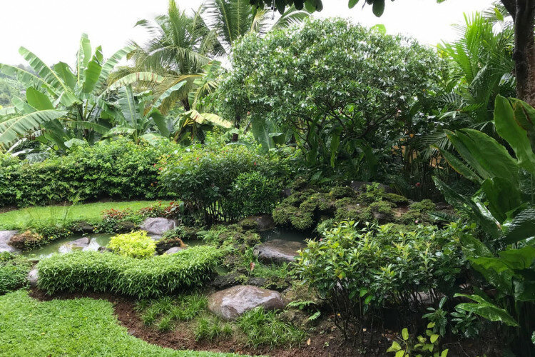 Дом в Мае Риме, Таиланд | THE156788