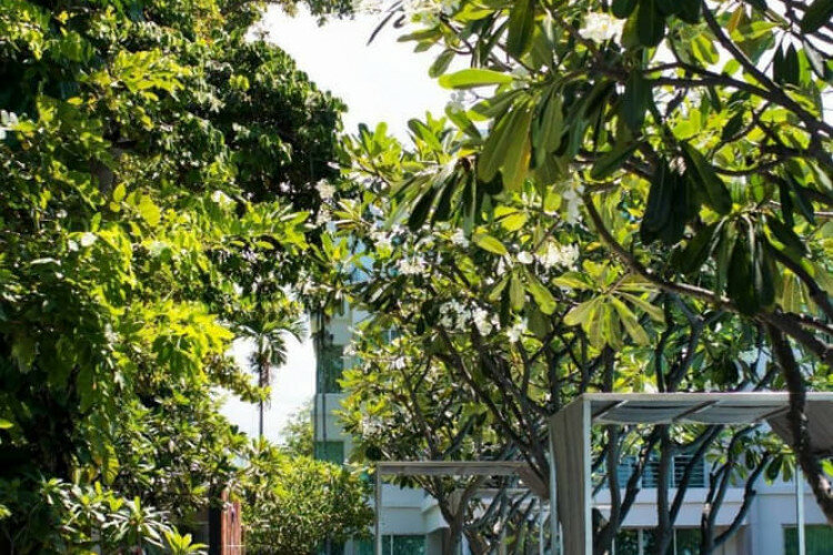 Кондоминиум в Хуахине, Таиланд | THE558280