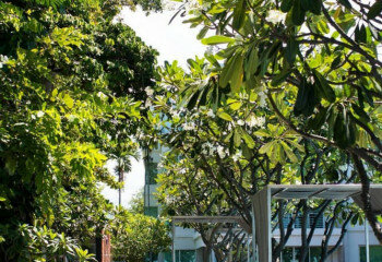 Кондоминиум в Хуахине, Таиланд | THE558280