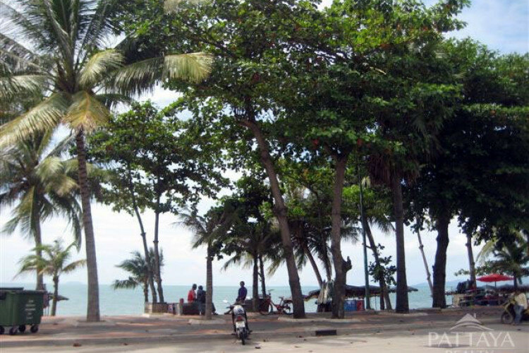 Кондоминиум в Джомтьене, Паттайя, Таиланд | THE546282