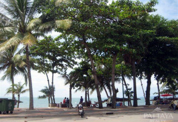 Кондоминиум в Джомтьене, Паттайя, Таиланд | THE546282