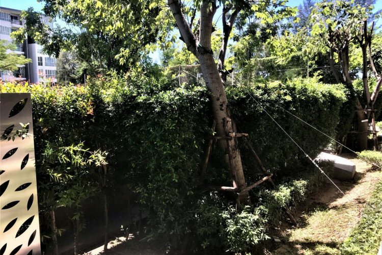 Кондоминиум в Прачуап Кири Хане, Таиланд | THE358264