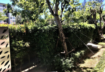 Кондоминиум в Прачуап Кири Хане, Таиланд | THE358264