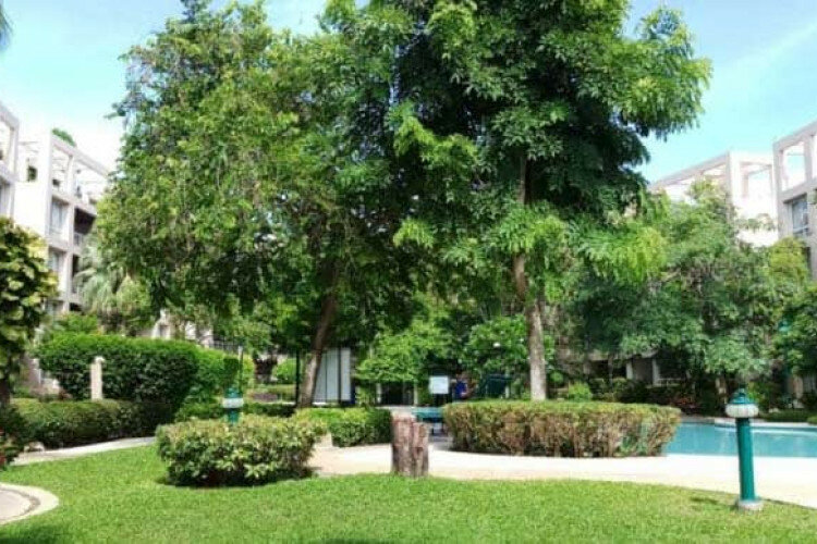 Кондоминиум в Хуахине, Таиланд | THE158182