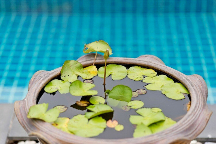 Дом в Паттайе, Таиланд | THE109850