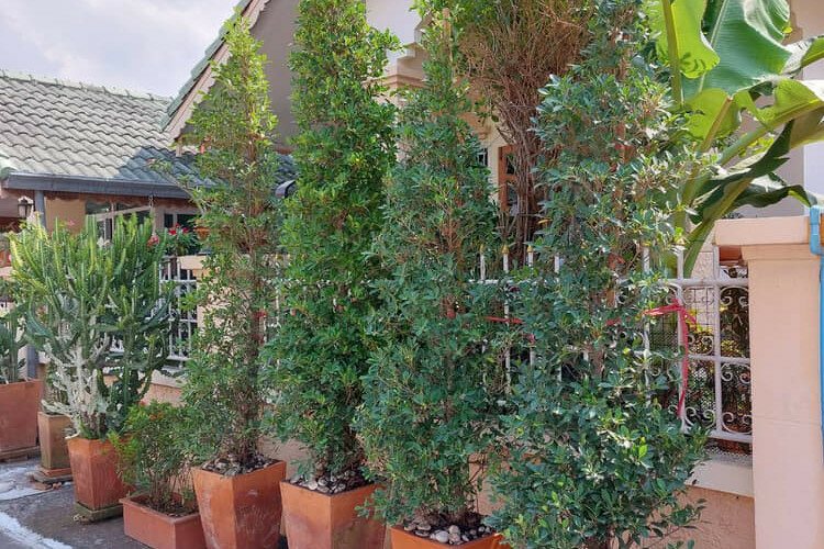 Дом в Паттайе, Таиланд | THE110457