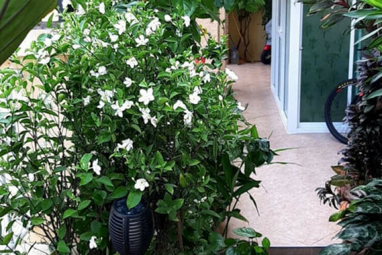 Дом в Паттайе, Таиланд | THE110457