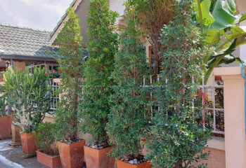 Дом в Паттайе, Таиланд | THE110457