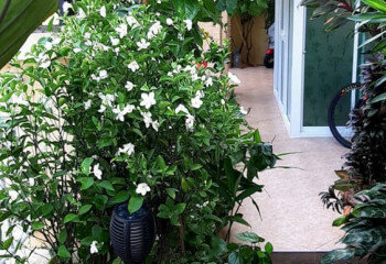 Дом в Паттайе, Таиланд | THE110457