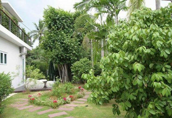 Дом в Паттайе, Таиланд | THE309455