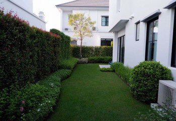 Дом в Бангкоке, Таиланд | THE148772