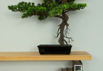 Дом в Банг Тао, Таиланд | THE246149