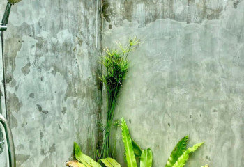 Дом в Хуахине, Таиланд | THE357815