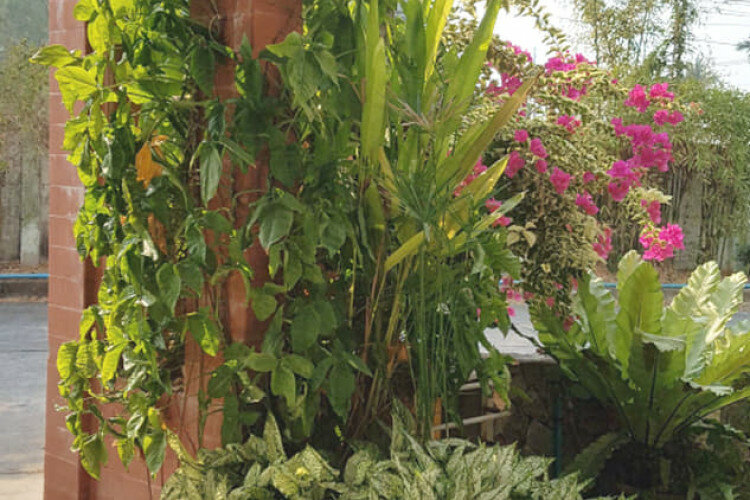 Дом в Чонбури, Таиланд | THE210289