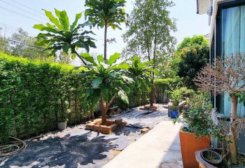 Дом в Банг Ламунге, Таиланд | THE255910