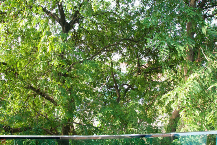 Кондоминиум в Паттайе, Таиланд | THE540411