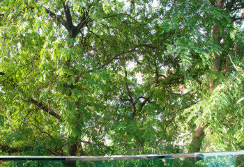 Кондоминиум в Паттайе, Таиланд | THE540411