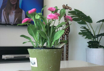 Кондоминиум в Паттайе, Таиланд | THE258360