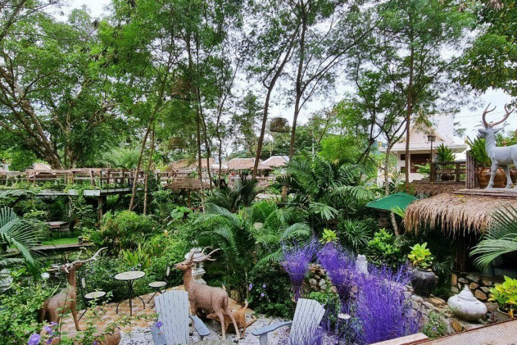 Готовый бизнес в Саттахипе, Таиланд | THE243247