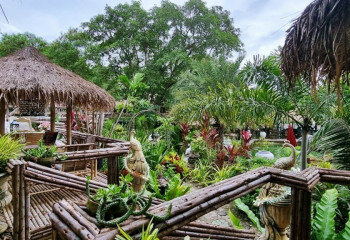 Готовый бизнес в Саттахипе, Таиланд | THE243247