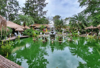 Готовый бизнес в Саттахипе, Таиланд | THE243247