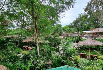 Готовый бизнес в Саттахипе, Таиланд | THE243247