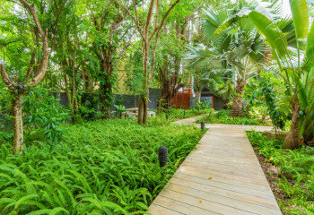 Кондоминиум в Хуахине, Таиланд | THE458117