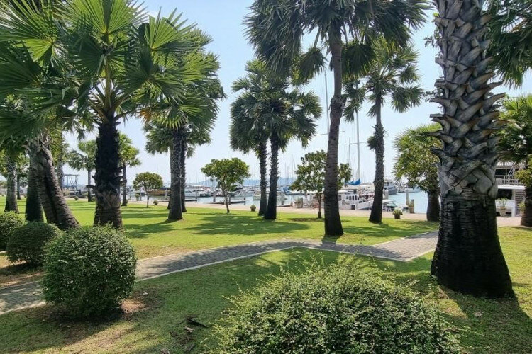 Кондоминиум в Саттахипе, Таиланд | THE355572