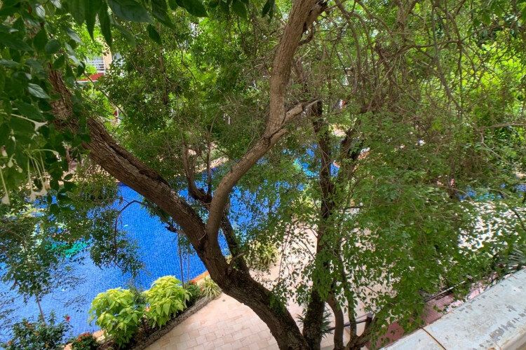 Кондоминиум в Паттайе, Таиланд | THE240834