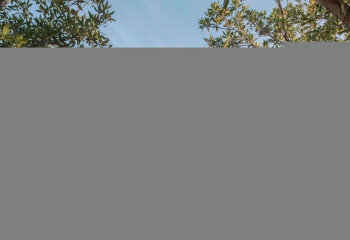 Кондоминиум в Бангкоке, Таиланд | THE552874