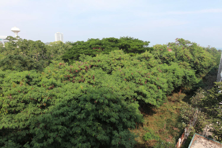 Кондоминиум в Хуахине, Таиланд | THE458058