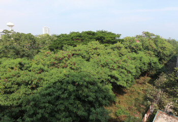 Кондоминиум в Хуахине, Таиланд | THE458058