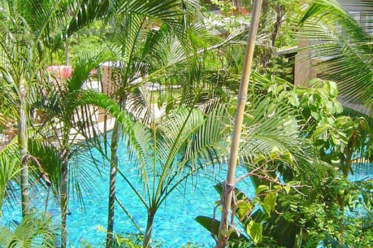 Квартира в Паттайе, Таиланд | THE434160