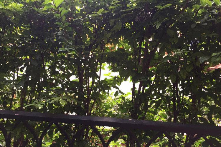 Квартира в Джомтьене, Паттайя, Таиланд | THE134498