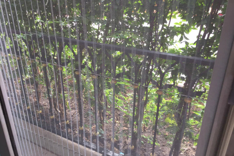 Квартира в Джомтьене, Паттайя, Таиланд | THE134498