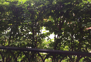 Квартира в Джомтьене, Паттайя, Таиланд | THE134498