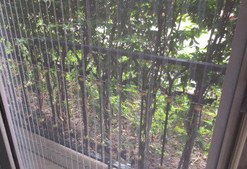 Квартира в Джомтьене, Паттайя, Таиланд | THE134498