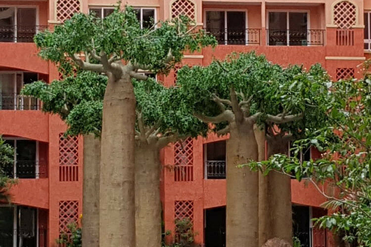 Квартира в Джомтьене, Паттайя, Таиланд | THE334412