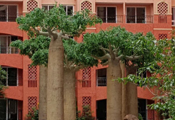 Квартира в Джомтьене, Паттайя, Таиланд | THE334412