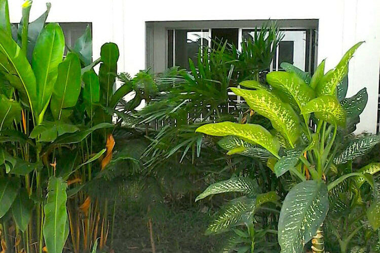 Квартира в Джомтьене, Паттайя, Таиланд | THE234318