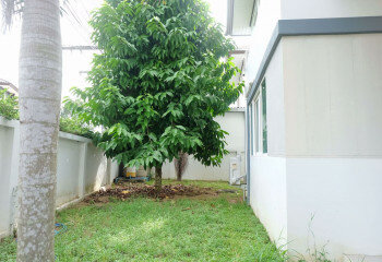 Дом в Паттайе, Таиланд | THE355000