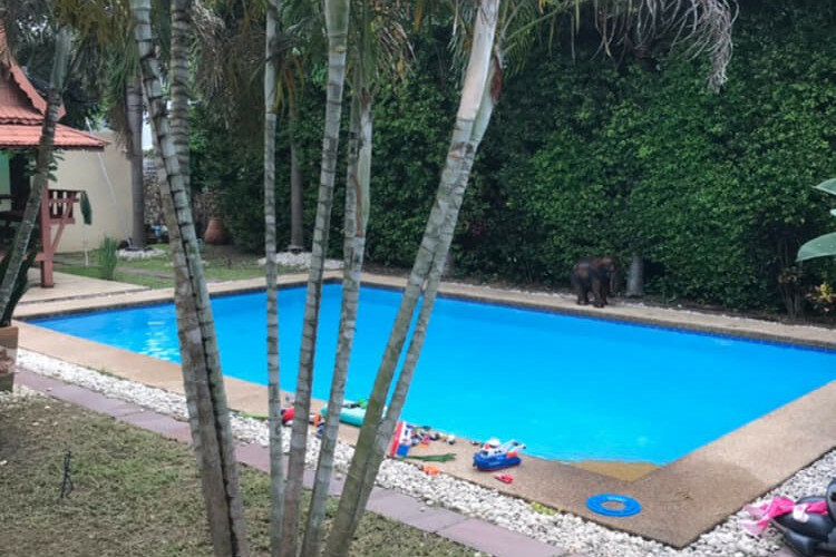 Вилла в Паттайе, Таиланд | THE434447