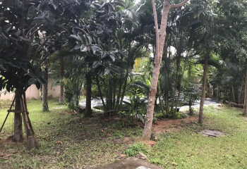 Дом в Паттайе, Таиланд | THE334288