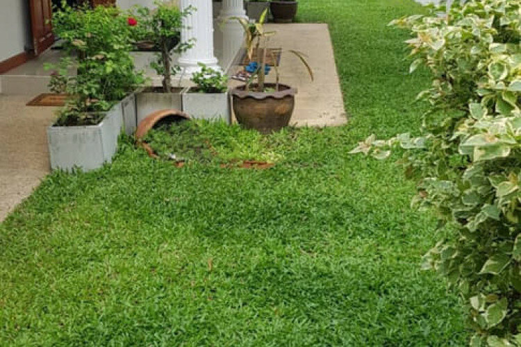 Дом в Паттайе, Таиланд | THE346687