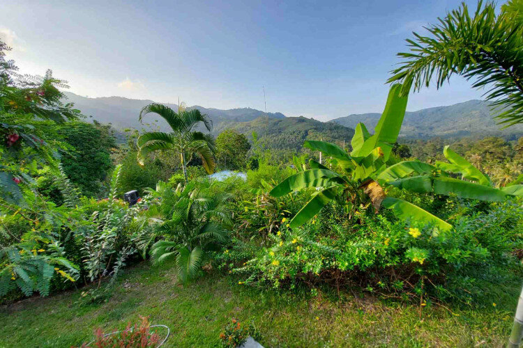 Вилла на острове Самуй, Таиланд | THE508910